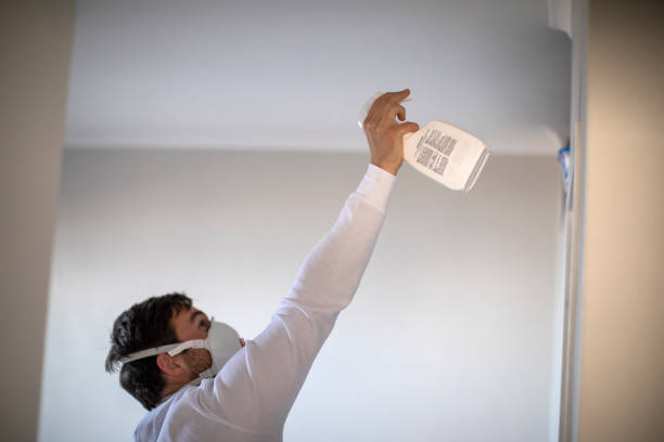 Office Mold Removal Services in Isle Of Hope, GA