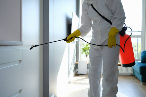 Best Residential Mold Removal  in Isle Of Hope, GA