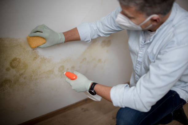 Water Damage Restoration in Isle Of Hope, GA