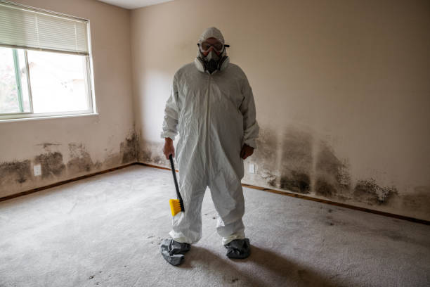 Best Mold Removal Company Near Me  in Isle Of Hope, GA